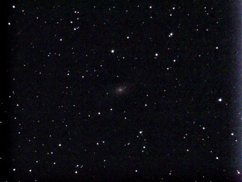 Dwarf satellite elliptical galaxy of the Andromeda Galaxy.